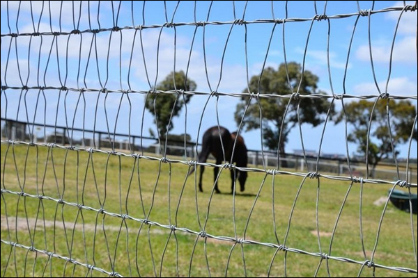 Diamond mesh for springy horse fencing fabric