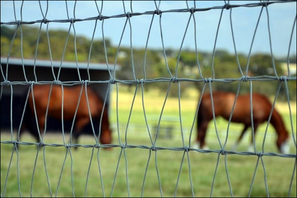 V mesh horse fencing hot dipped galvanized