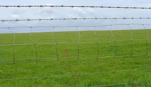 Perimeter Fence for Farms with Anti climbing barbed wire