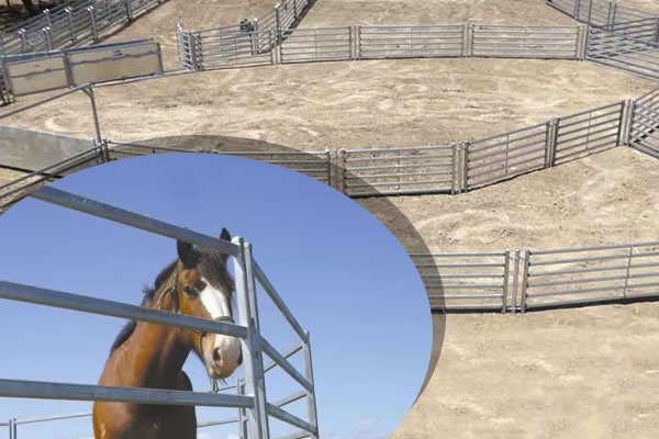 Mobile horse pen panels for horses industry