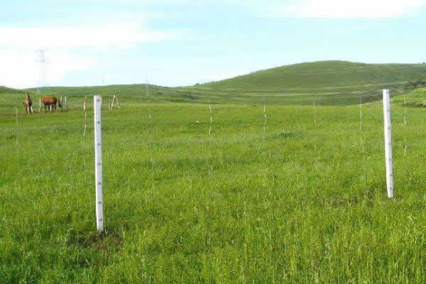 S Knot Wire Woven Field Fence