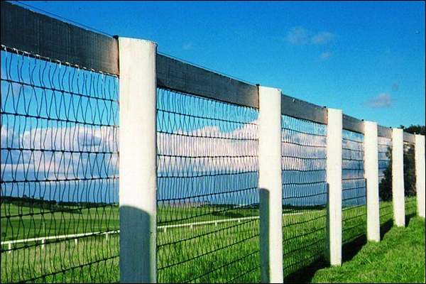 V wire diamond mesh fence for horse farmers